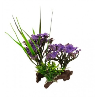 ΔΙΑΚΟΣΜΗΤΙΚΟ ΦΥΤΟ ΕΝΥΔΡΕΙΟΥ 19Χ9CM